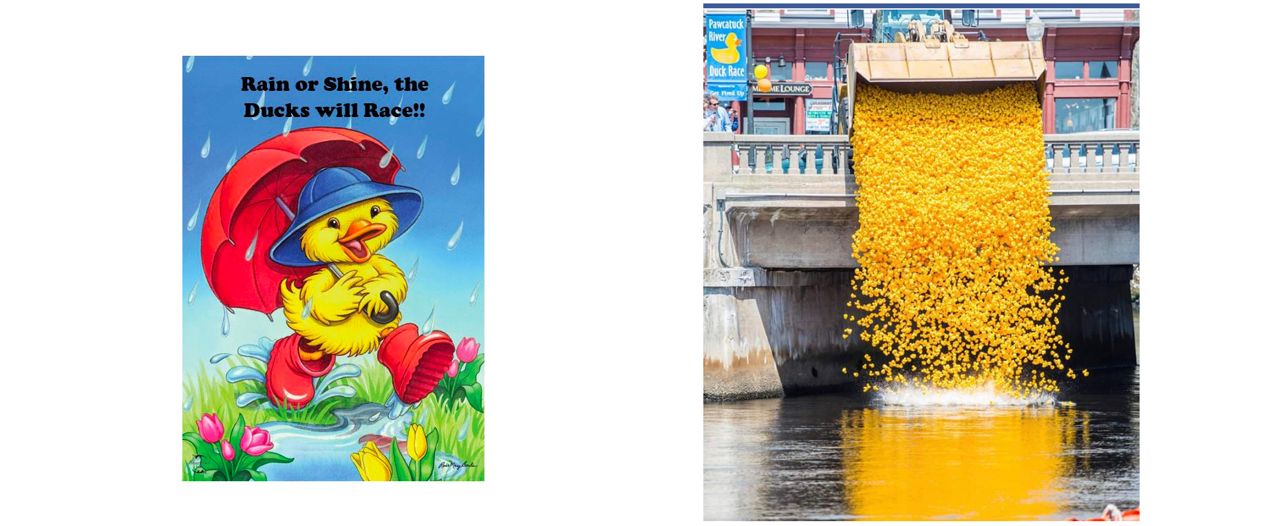 Pawcatuck River Duck Race