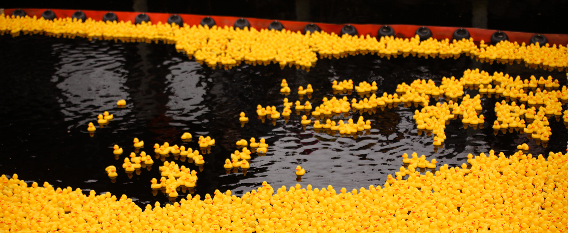 Pawcatuck River Duck Race
