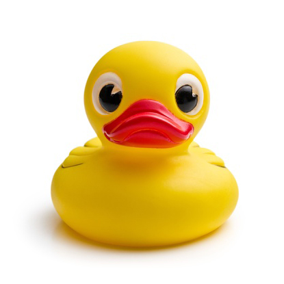 solo duck